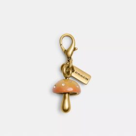 Charm de seta «DIY»