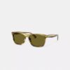 Gafas de sol cuadradas