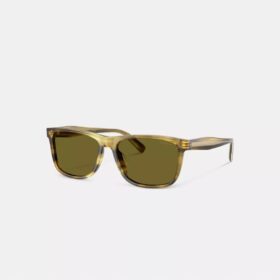 Gafas de sol cuadradas