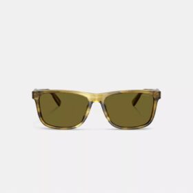 Gafas de sol cuadradas