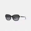 Gafas de sol cuadradas con bisagras y motivo de Horse and Carriage
