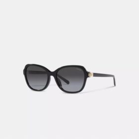 Gafas de sol cuadradas con bisagras y motivo de Horse and Carriage
