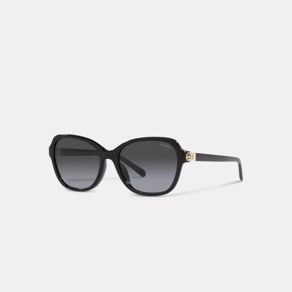Gafas de sol cuadradas con bisagras y motivo de Horse and Carriage