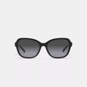 Gafas de sol cuadradas con bisagras y motivo de Horse and Carriage