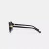Gafas de sol cuadradas con bisagras y motivo de Horse and Carriage