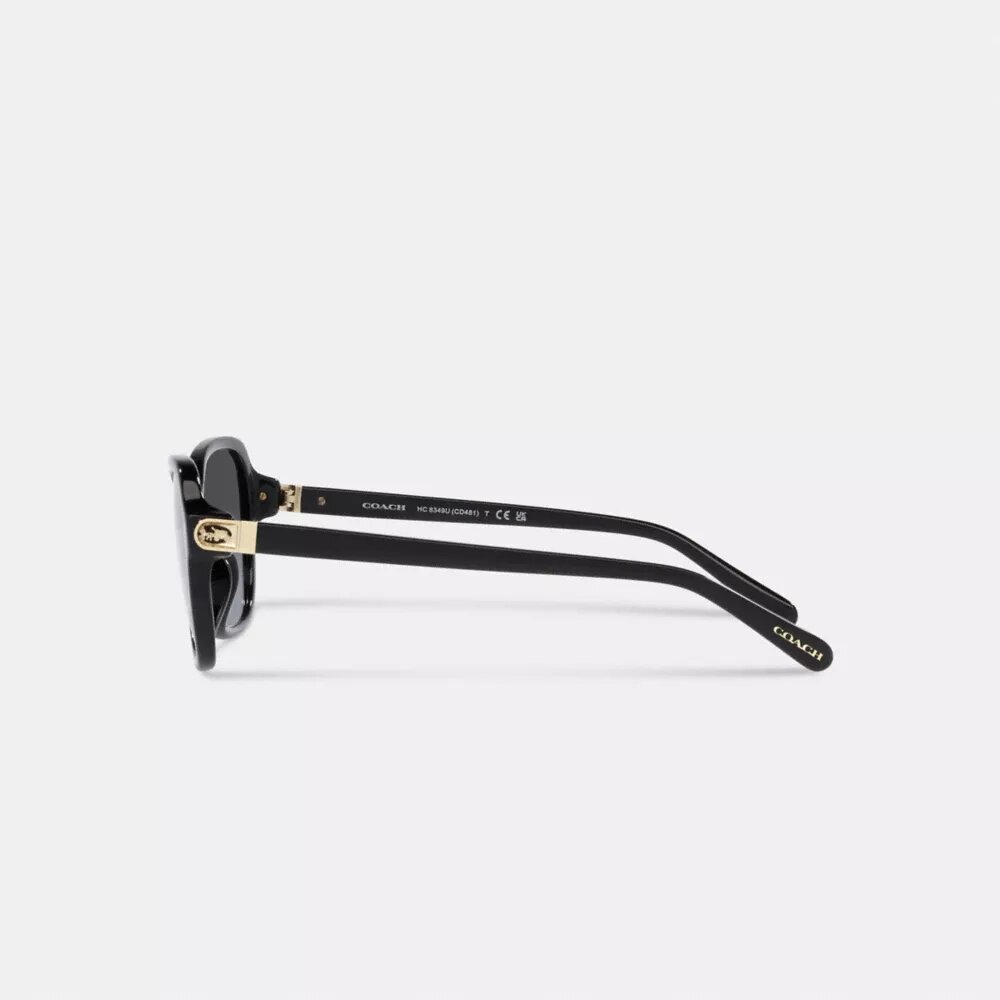 Gafas de sol cuadradas con bisagras y motivo de Horse and Carriage