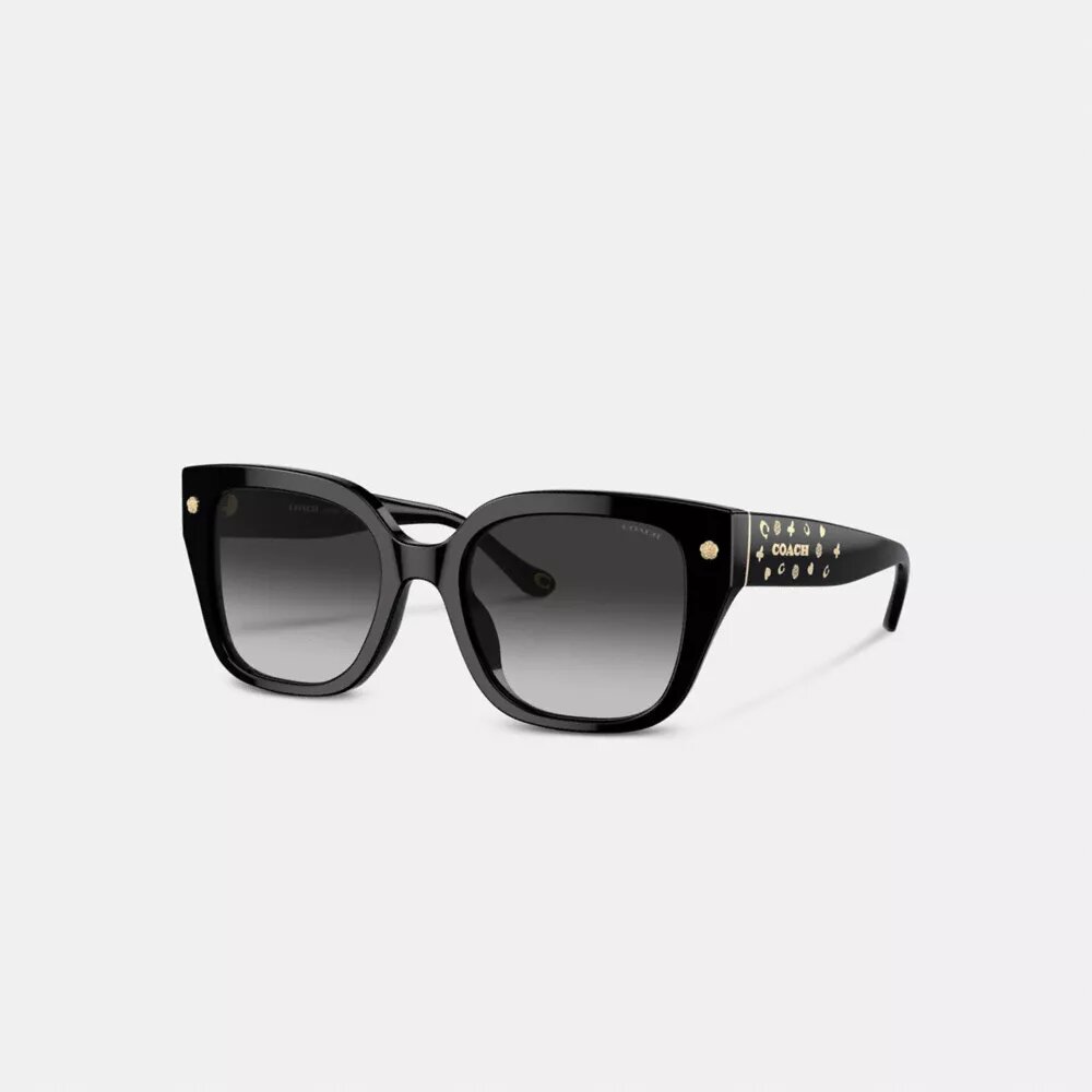Gafas de sol cuadradas extragrandes «Charms»