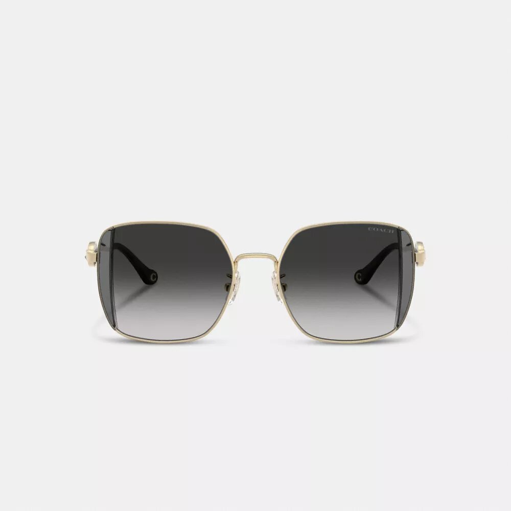 Gafas de sol cuadradas extragrandes de metal con motivo de Horse and Carriage