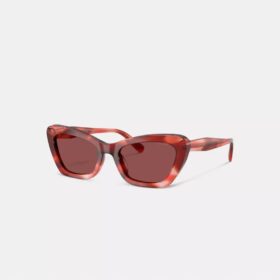 Gafas de sol de ojo de gato con montura de alambre