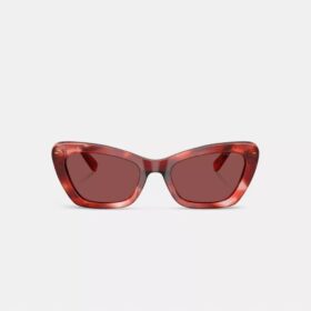 Gafas de sol de ojo de gato con montura de alambre