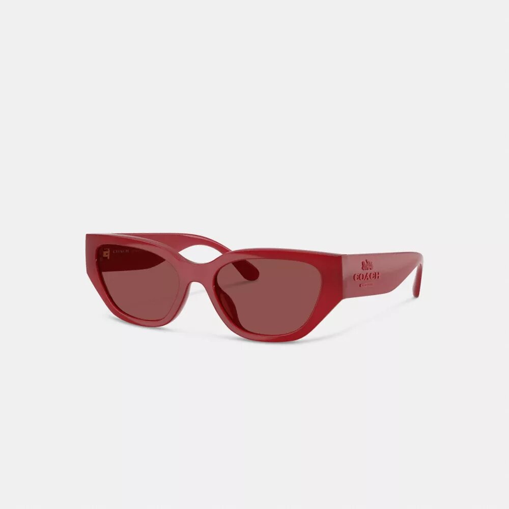 Gafas de sol geométricas de ojo de gato