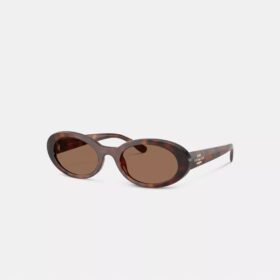 Gafas de sol ovaladas estrechas