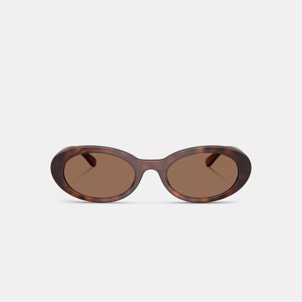 Gafas de sol ovaladas estrechas