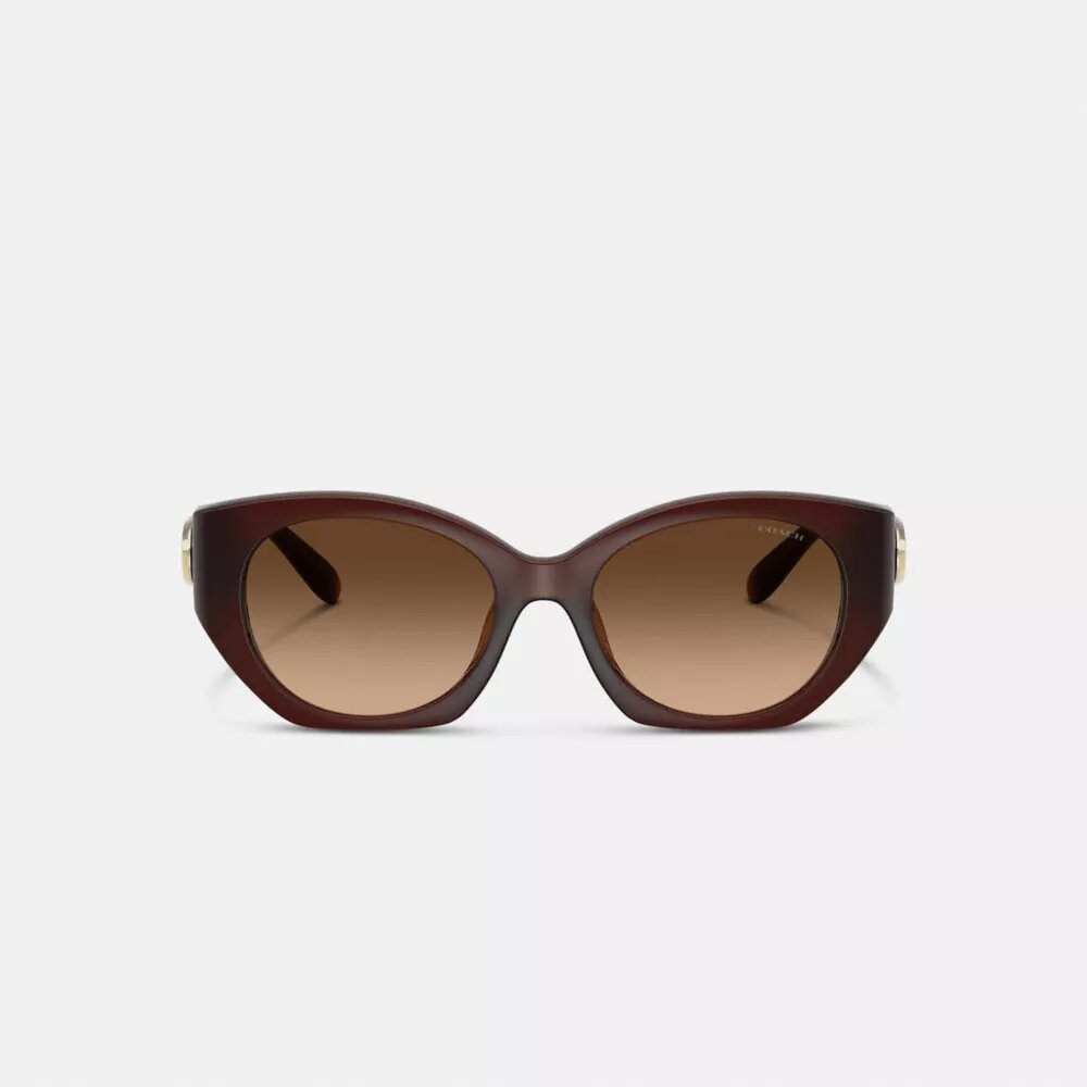 Gafas de sol ovaladas «Maxi Sculpted C»