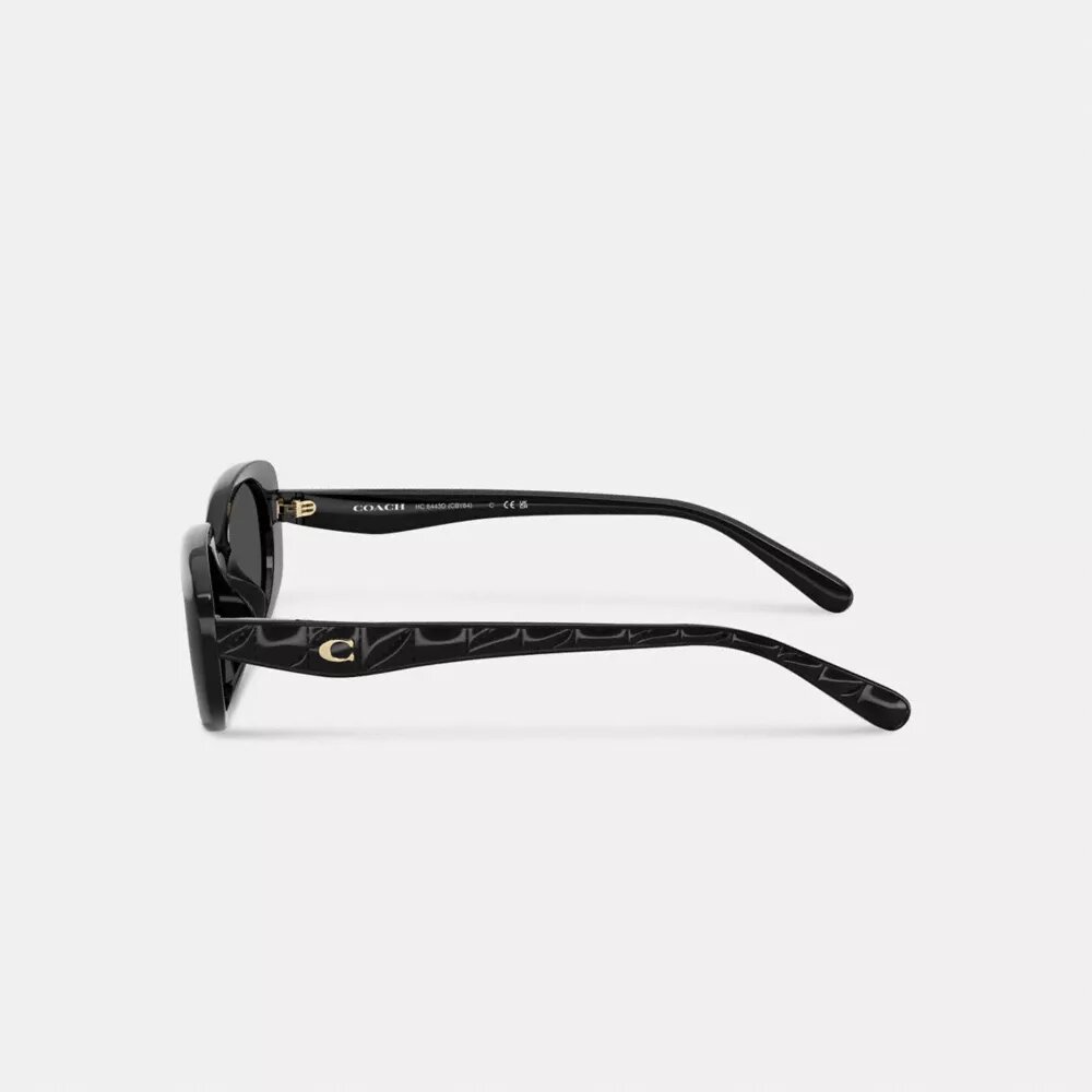 Gafas de sol ovaladas-rectangulares acolchadas