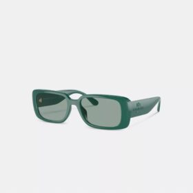 Gafas de sol rectangulares estrechas