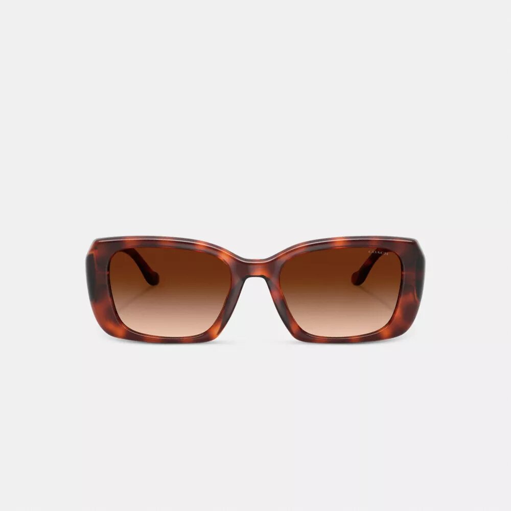 Gafas de sol rectangulares extragrandes «Maxi Sculpted C»