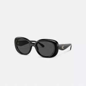 Gafas de sol redondas con herrajes C