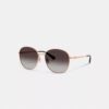 Gafas de sol redondas de metal con detalles dorados