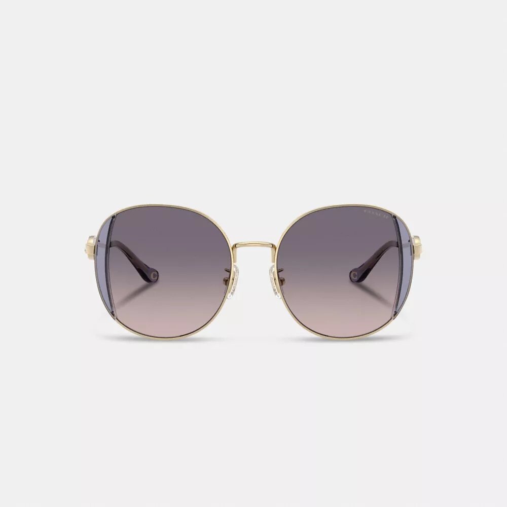 Gafas de sol redondas de metal con motivo de Horse and Carriage