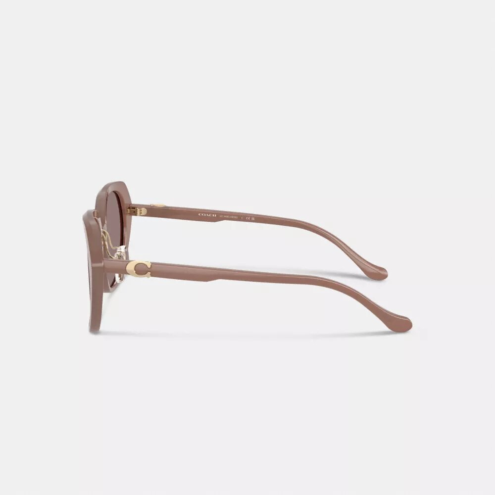 Gafas de sol redondas extragrandes «Maxi Sculpted C»