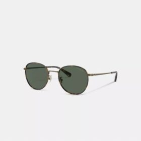 Gafas de sol redondas Windsor de metal