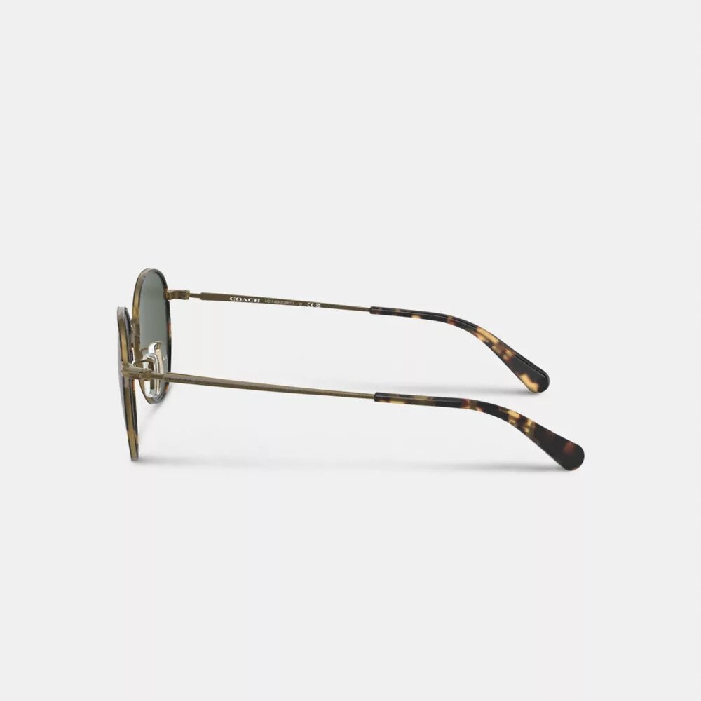 Gafas de sol redondas Windsor de metal