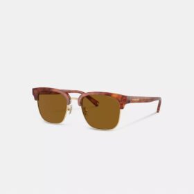 Gafas de sol retro