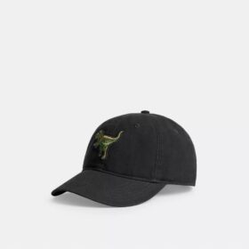 Gorra de béisbol con parche de Rexy