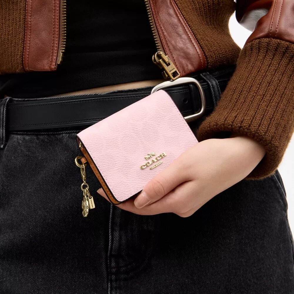 Mini cartera con cadena en Signature Canvas con Charms
