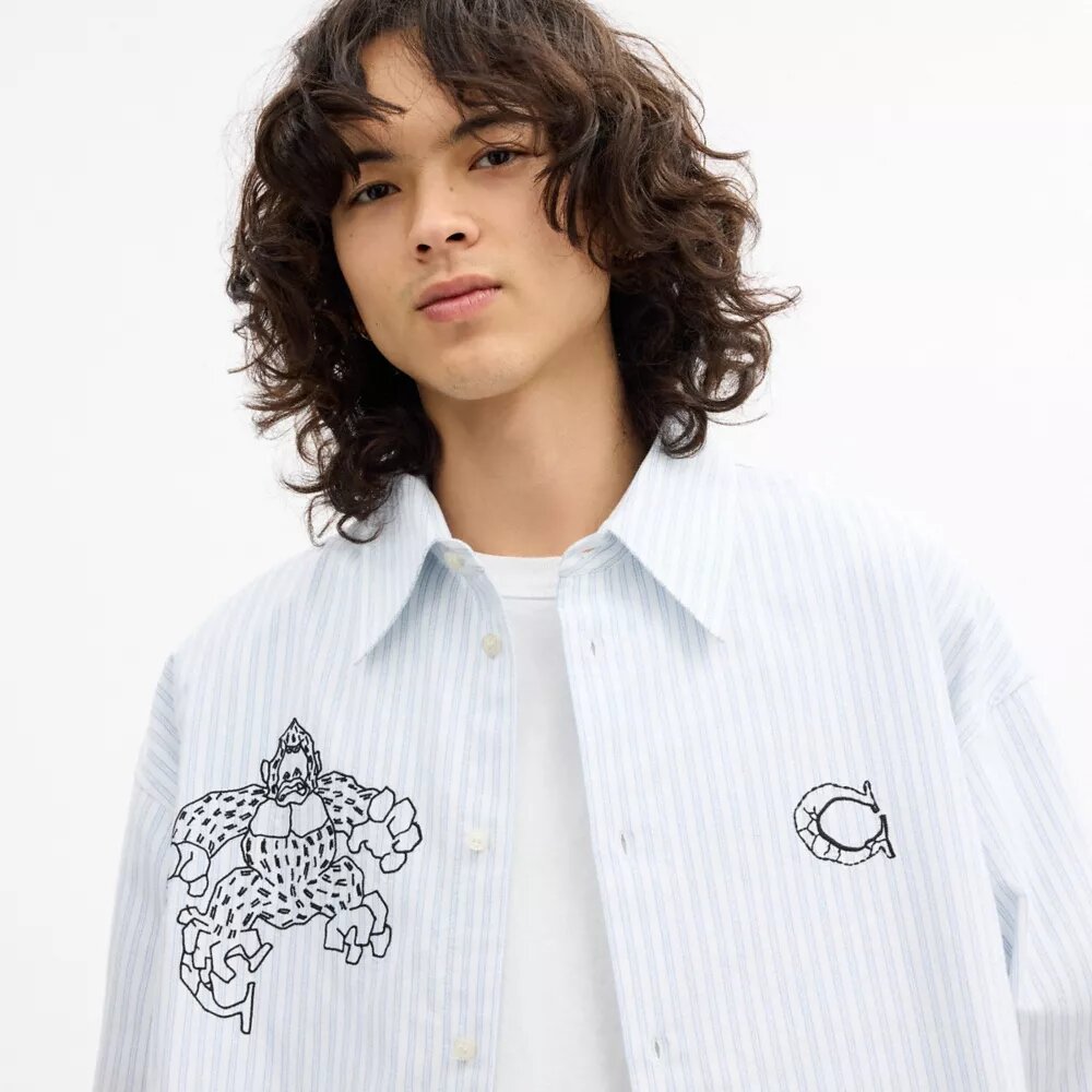 Partes de arriba y Partes de abajo de Coach