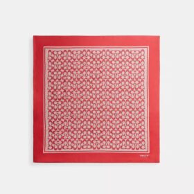 Pañuelo cuadrado de seda con estampado texturizado característico
