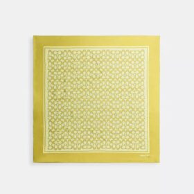 Pañuelo cuadrado de seda con estampado texturizado característico