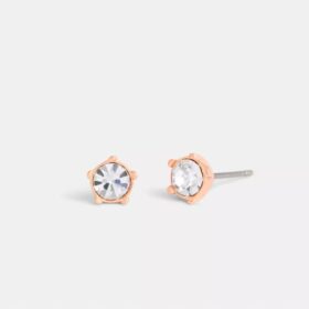 Pendientes de botón «Halo Tea Rose»