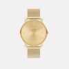 Reloj Elliot, 41 mm
