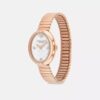 Reloj Sammy, 22 mm