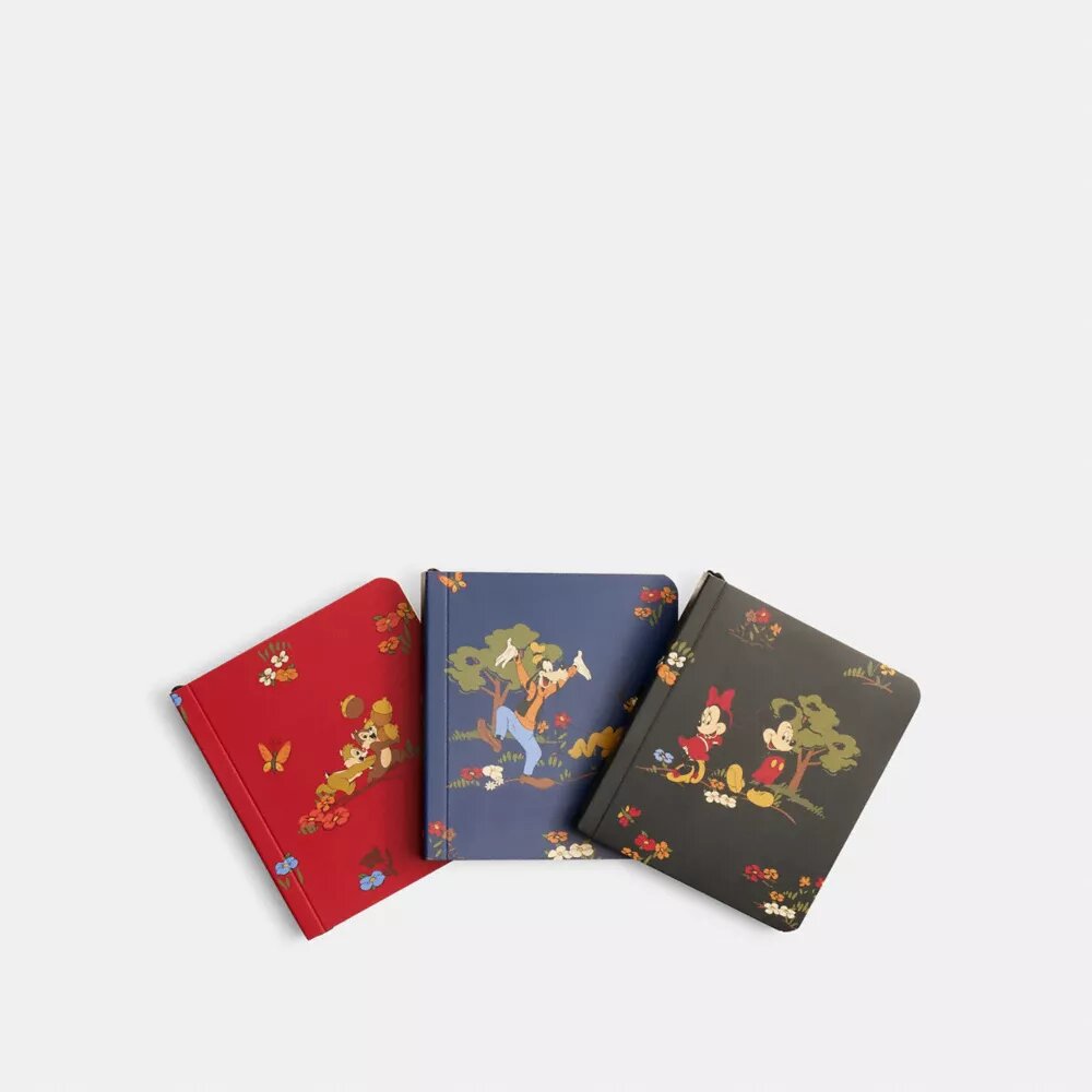 Set de libretas mini Disney X Coach con Mickey Mouse y sus amigos