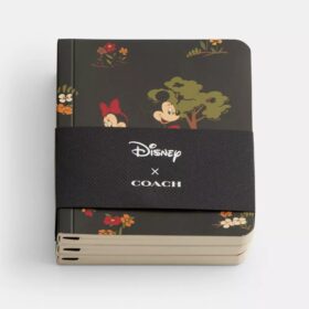 Set de libretas mini Disney X Coach con Mickey Mouse y sus amigos
