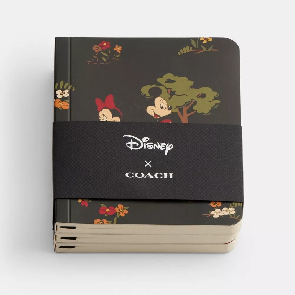 Set de libretas mini Disney X Coach con Mickey Mouse y sus amigos