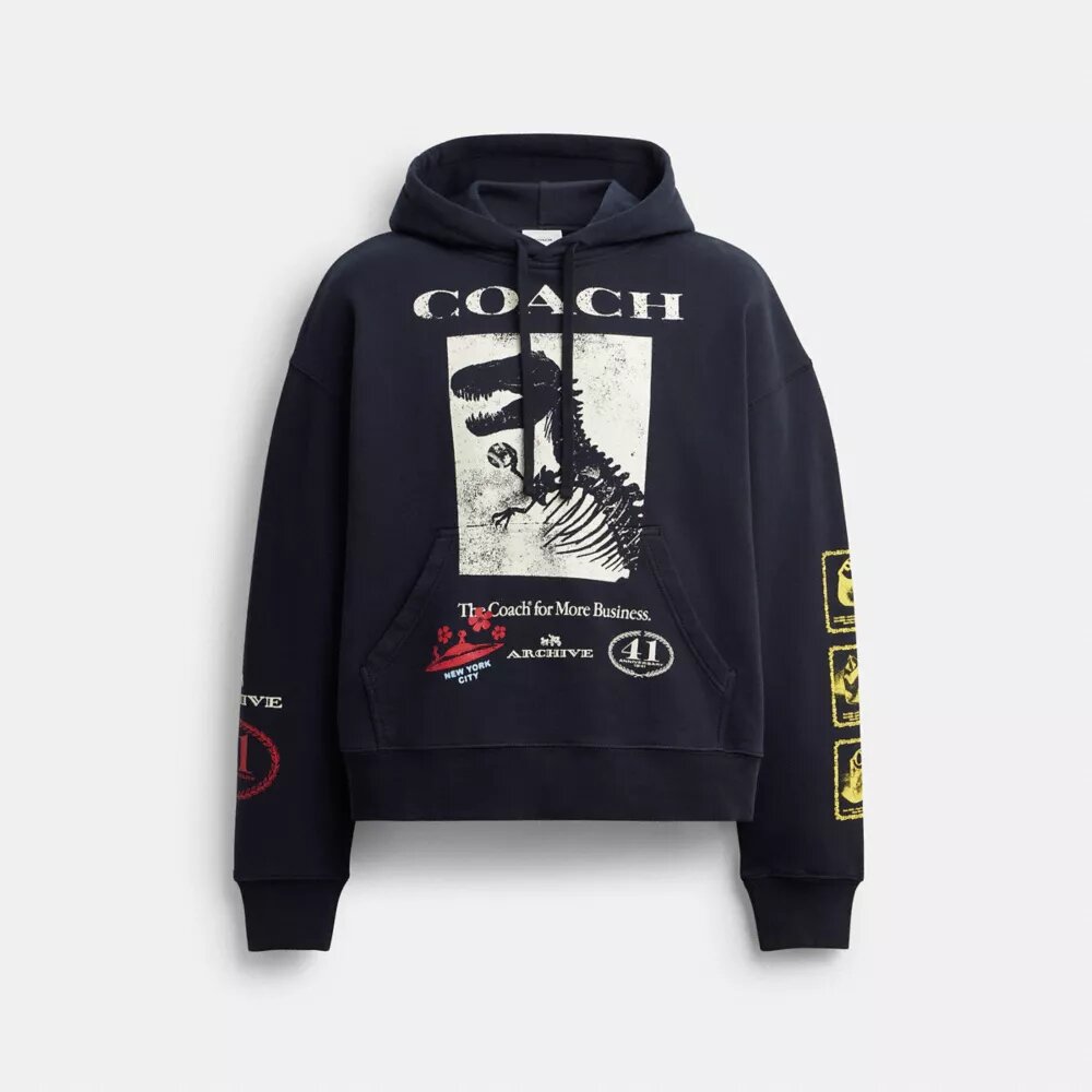 Sudadera con capucha holgada «Dinosaur Collage» de algodón orgánico