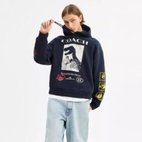 Sudadera con capucha holgada «Dinosaur Collage» de algodón orgánico