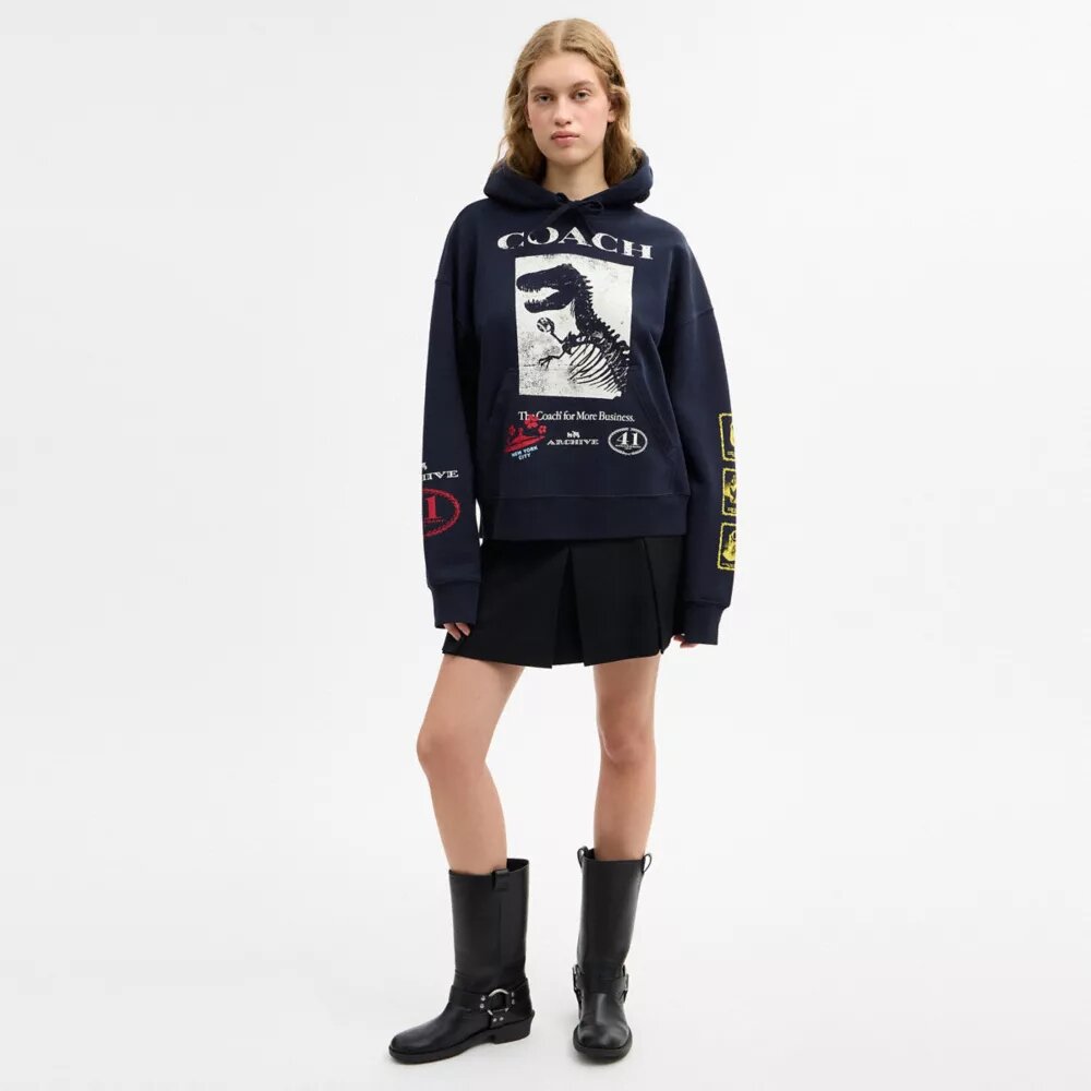 Sudadera con capucha holgada «Dinosaur Collage» de algodón orgánico