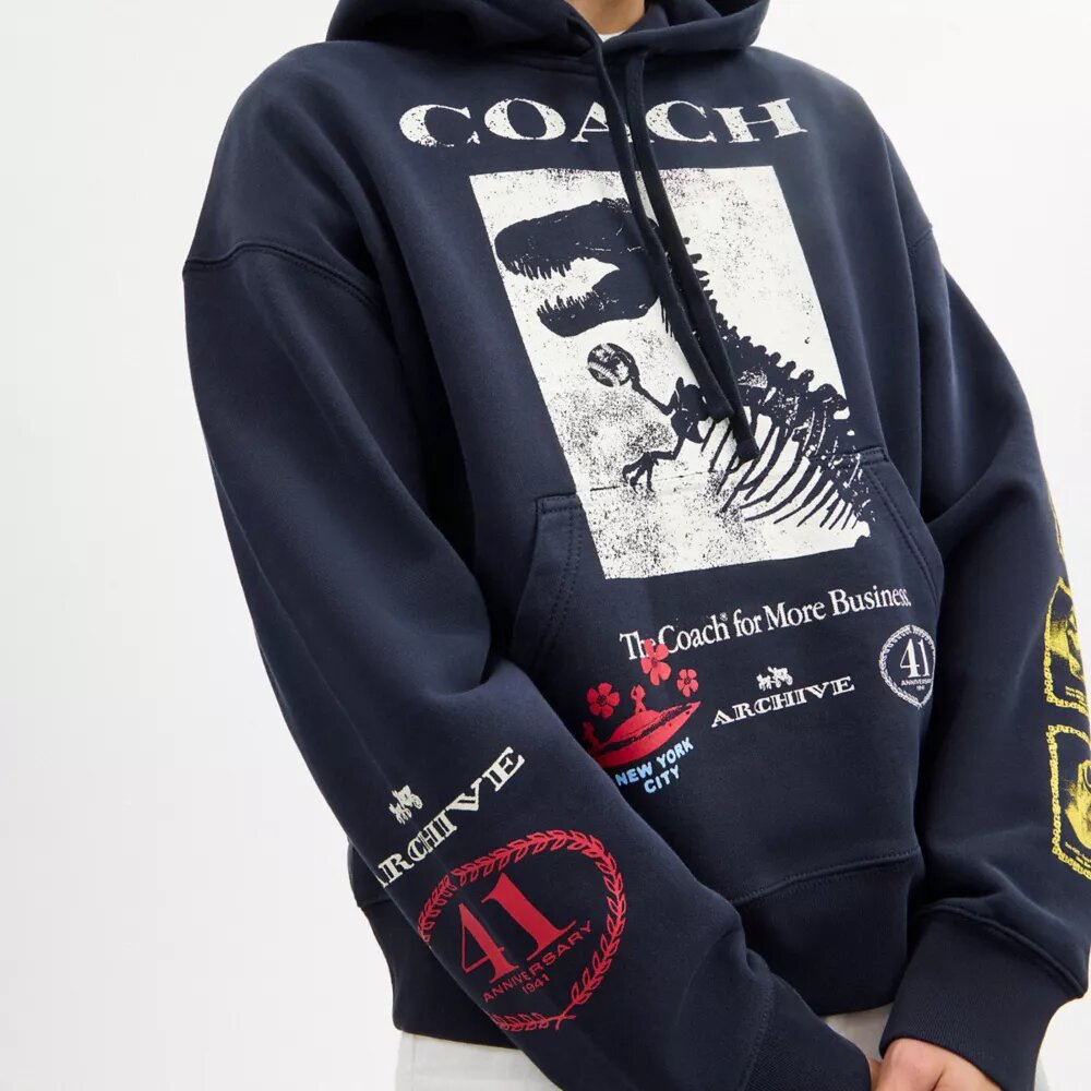 Sudadera con capucha holgada «Dinosaur Collage» de algodón orgánico