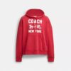 Sudadera con capucha «Horse and Carriage»