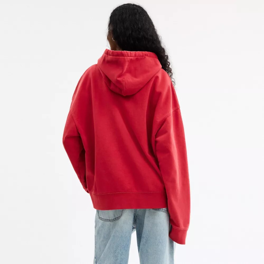 Sudadera con capucha «Horse and Carriage»