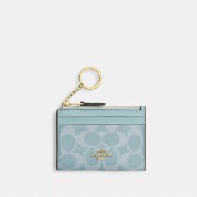 Tarjetero Mini Skinny en Signature Canvas