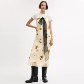 Vestido de organza con estrellas