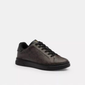 Zapatillas altas en Signature Canvas