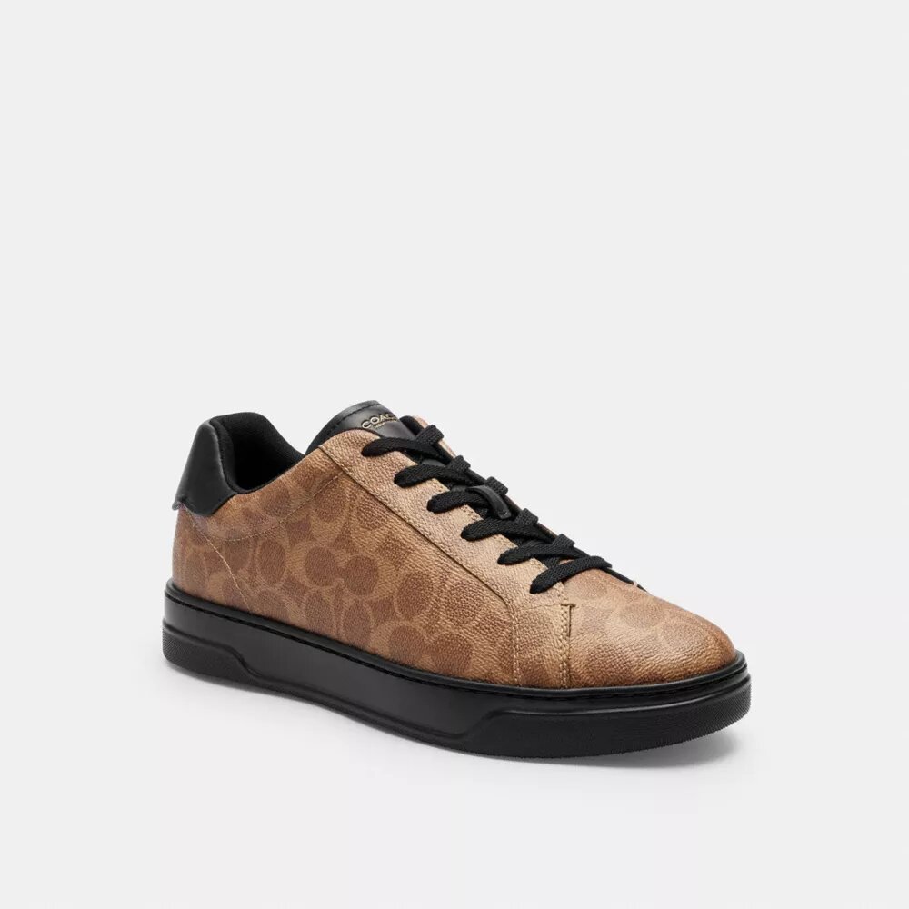 Zapatillas altas en Signature Canvas