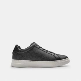 Zapatillas altas en Signature Canvas